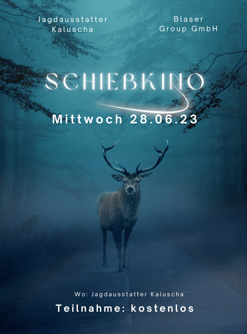 Laser Schießkino